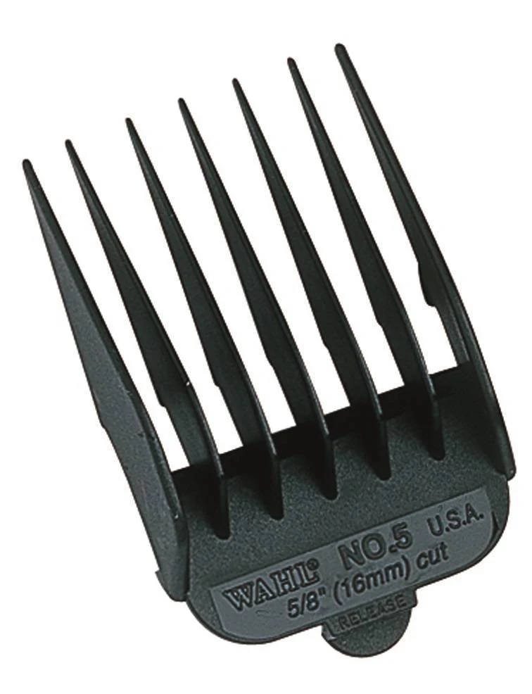 Miniatuur 6